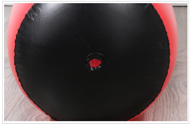 Inflatable Punching Bag