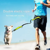Pet Traction Rope
