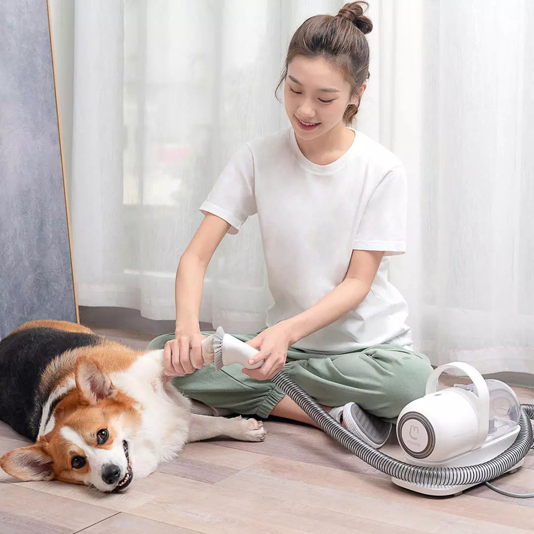 Peluquería multifuncional para mascotas